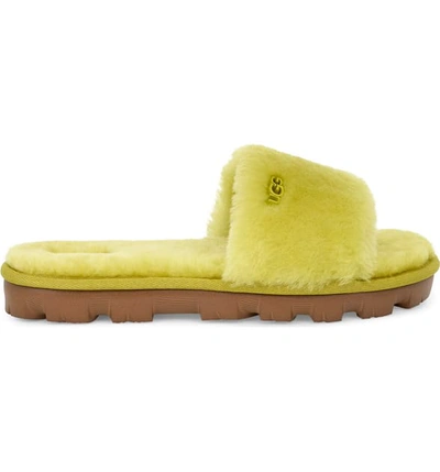 Shop Ugg Cozette Genuine Shearling Slide In Electric Lime