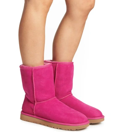 Shop Ugg Classic Ii Genuine Shearling Lined Short Boot In Fuchsia Suede