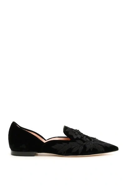 Shop Alberta Ferretti Embroidered Velvet Ballerinas In Black