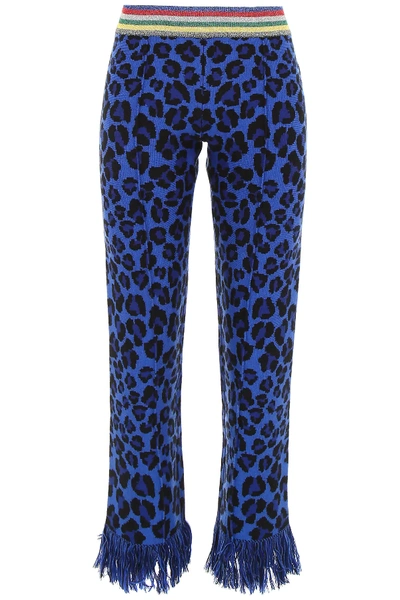 Shop Alanui Animalier Knit Trousers In Blue,black