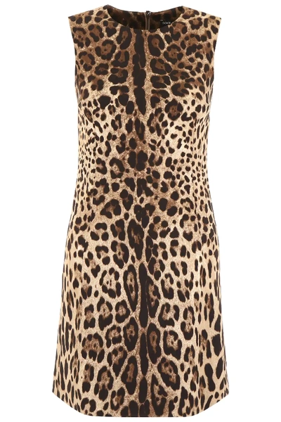 Shop Dolce & Gabbana Leopard-printed Dress In Beige,brown,black
