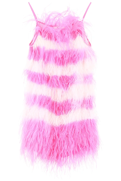 Shop Msgm Bicolor Feather Dress In Pink,white