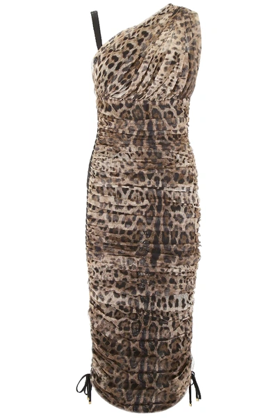 Shop Dolce & Gabbana Tulle One-shoulder Dress In Brown,beige