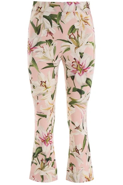 Shop Dolce & Gabbana Lily Print Trousers In Pink,white,green