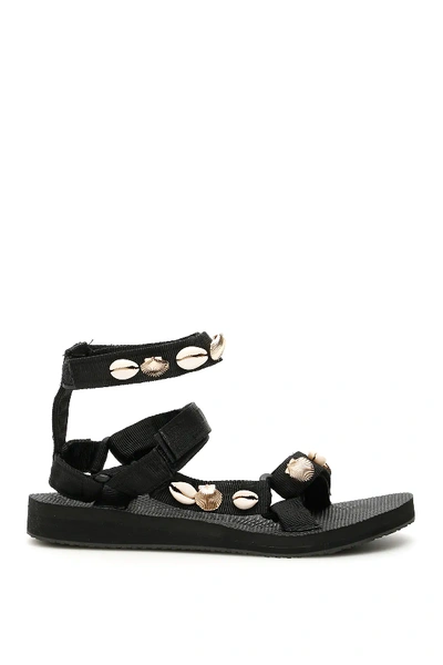Shop Arizona Love Shell Trekky Sandals In Black