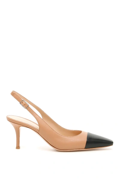 Shop Gianvito Rossi Bicolor Lucy Slingback In Beige,black