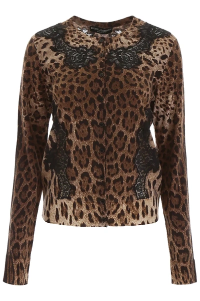Shop Dolce & Gabbana Animalier Cardigan With Lace In Brown,black