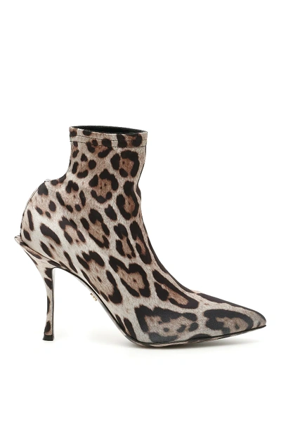 Shop Dolce & Gabbana Leopard-printed Lori Booties In Beige,black