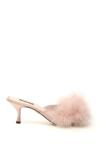 Shop Dolce & Gabbana Marabou Keira Mules In Pink