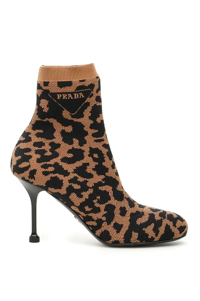 Shop Prada Animalier Sock Booties In Brown,black