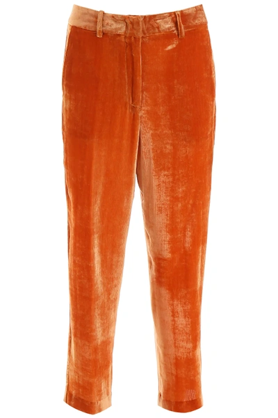 Shop Sies Marjan Velvet Trousers In Orange