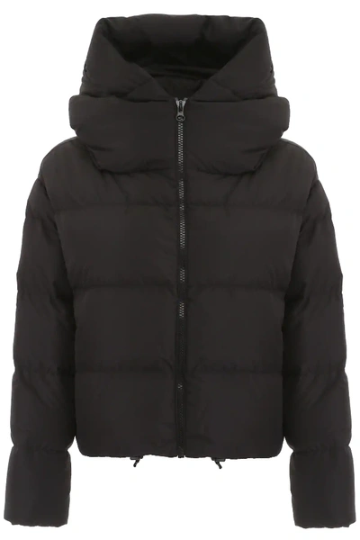 Shop Bacon Cloud Jacket In Black