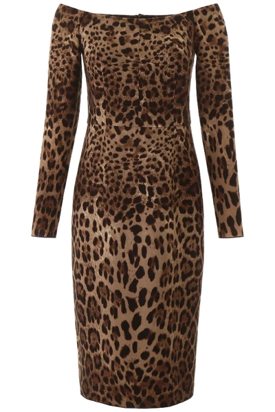 Shop Dolce & Gabbana Animalier Midi Dress In Brown,black