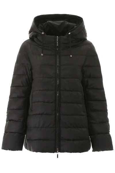 Shop Max Mara The Cube Novecc Reversible Puffer Jacket In Black