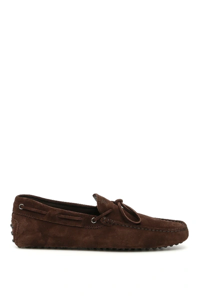 Shop Tod's New Laccetto Gommino Loafers In Brown