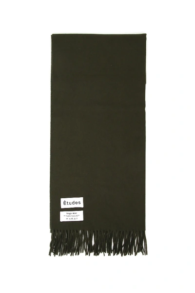 Shop Etudes Studio Magnolia Scarf In Khaki