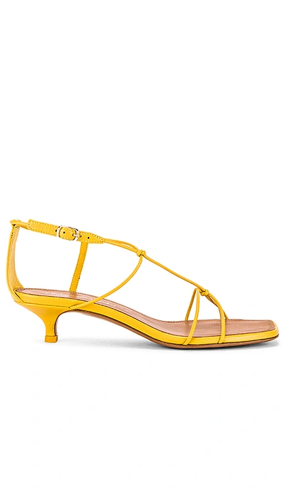 Shop Zimmermann Strappy Kitten Heel Sandal In Daffodil Yellow