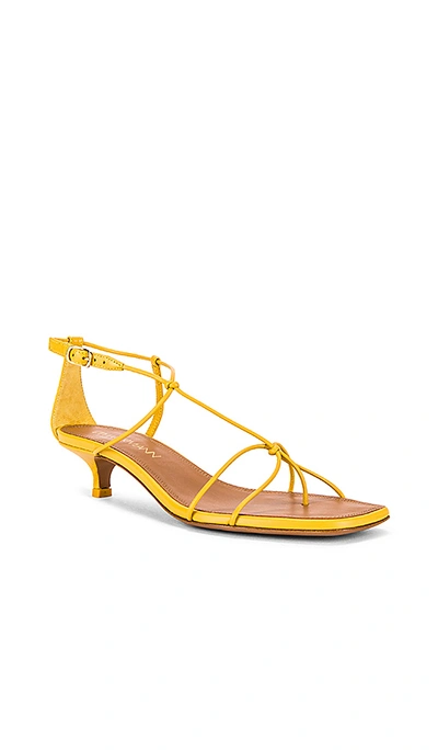 Shop Zimmermann Strappy Kitten Heel Sandal In Daffodil Yellow