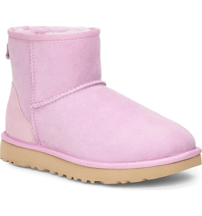 Shop Ugg Classic Mini Ii Genuine Shearling Lined Boot In California Aster Suede