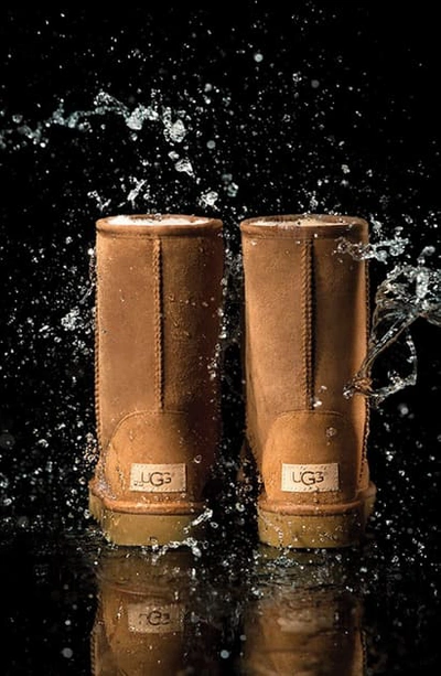 Shop Ugg Classic Mini Ii Genuine Shearling Lined Boot In Bronzer Suede