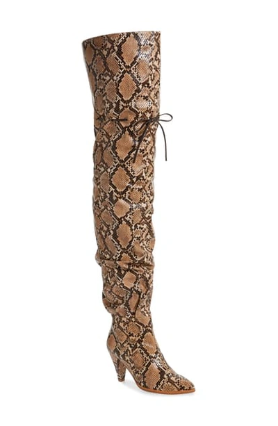 Shop Jeffrey Campbell Go-go-girl 2 Thigh High Boot In Beige Black Snake Print