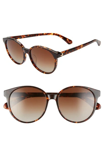 Shop Kate Spade Eliza 55mm Polarized Round Sunglasses In Dkhavana/ Brown Grad Polz