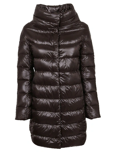 Shop Herno Brown Polyester Down Jacket