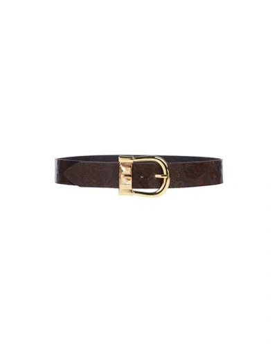 Shop Nanni Regular Belt In Dark Brown