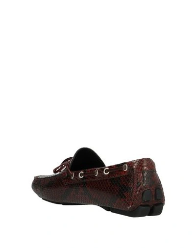Shop Just Cavalli Loafers In Maroon