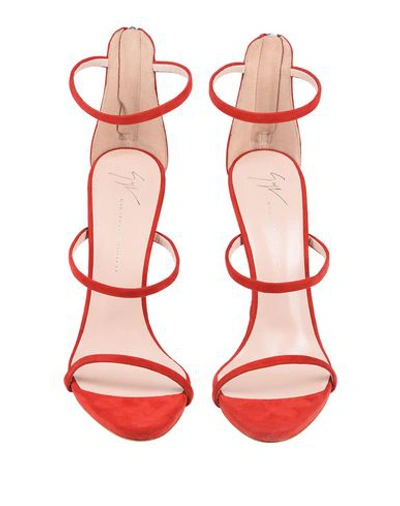 Shop Giuseppe Zanotti Sandals In Red
