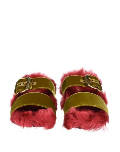 Shop Prada Sandals In Ocher