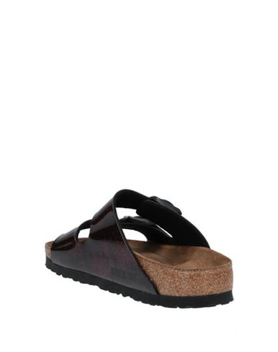 Shop Birkenstock Sandals In Maroon