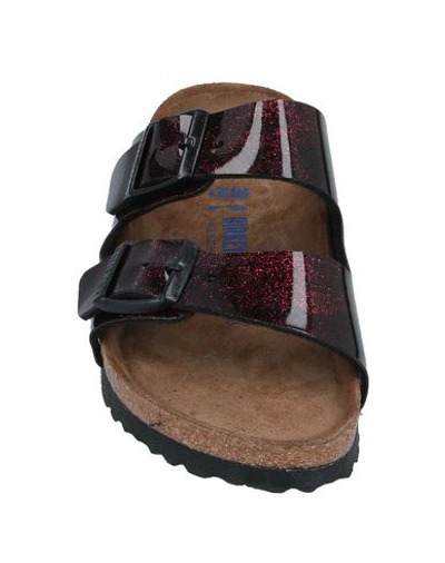 Shop Birkenstock Sandals In Maroon