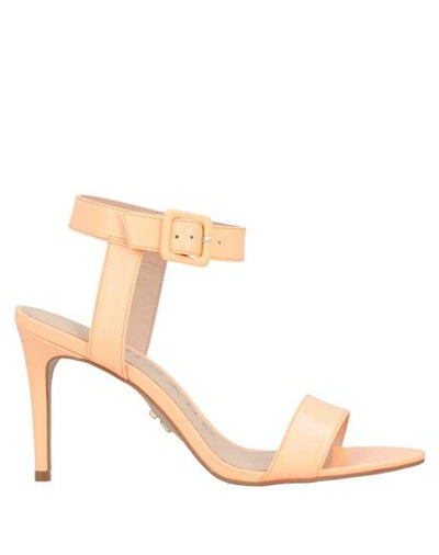 Shop Carrano Sandals In Orange