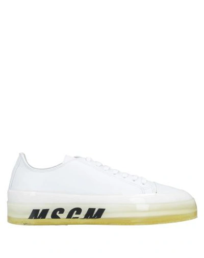 Shop Msgm Sneakers In White