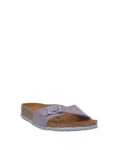 Shop Birkenstock Sandals In Lilac