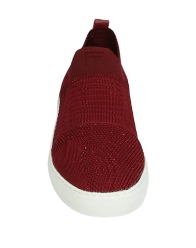 Shop Fornarina Sneakers In Maroon