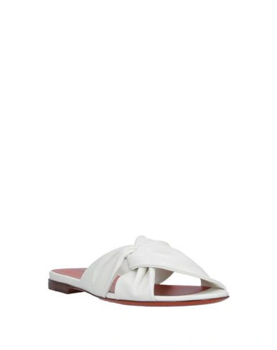 Shop Santoni Sandals In White