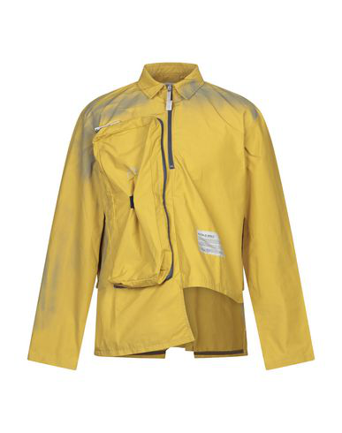 polo yellow jacket