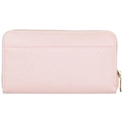 Shop Dolce & Gabbana Logo Plaque Zip Wallet In Pink