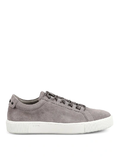 Shop Tod's Suede Low Top Sneakers In Grey