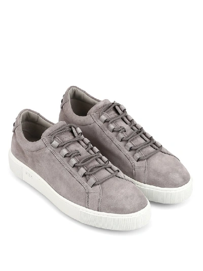 Shop Tod's Suede Low Top Sneakers In Grey