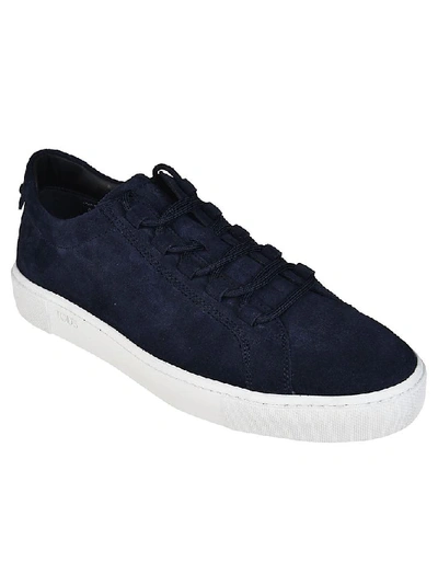 Shop Tod's Suede Low Top Sneakers In Blue