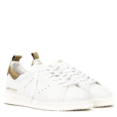 Shop Golden Goose Deluxe Brand Starter Sneakers In Multi