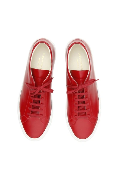 Shop Common Projects Achilles Low Top Sneakers In Red