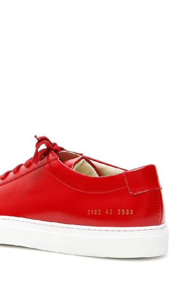 Shop Common Projects Achilles Low Top Sneakers In Red