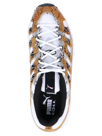 Shop Puma Cell Endura Animal Kingdom Sneakers In Multi