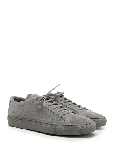 Shop Common Projects Achilles Low Top Suede Sneakers In Grey