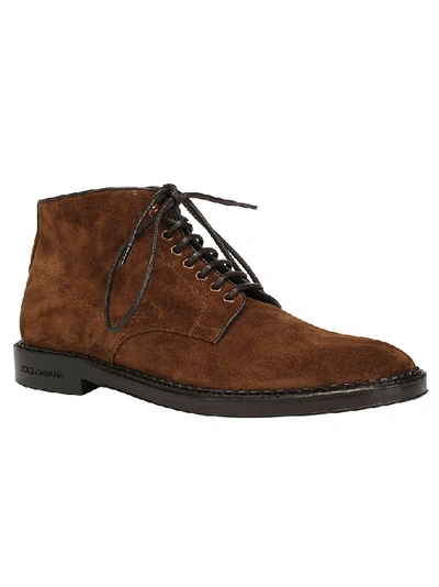 Shop Dolce & Gabbana Lace Up Ankle Boots In Brown