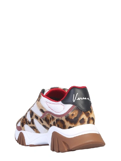 Shop Versace Squalo Animalier Low In Multi